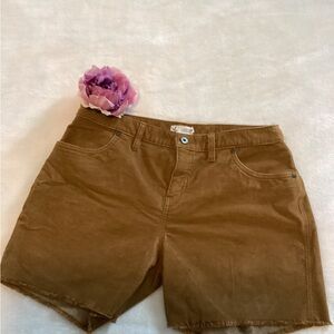 Carve Designs Brown Bermudas Corduroy Shorts